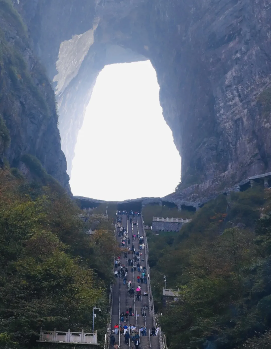 640.webp (11).png