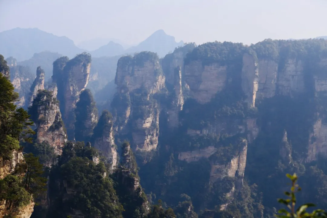 640.webp (27).png