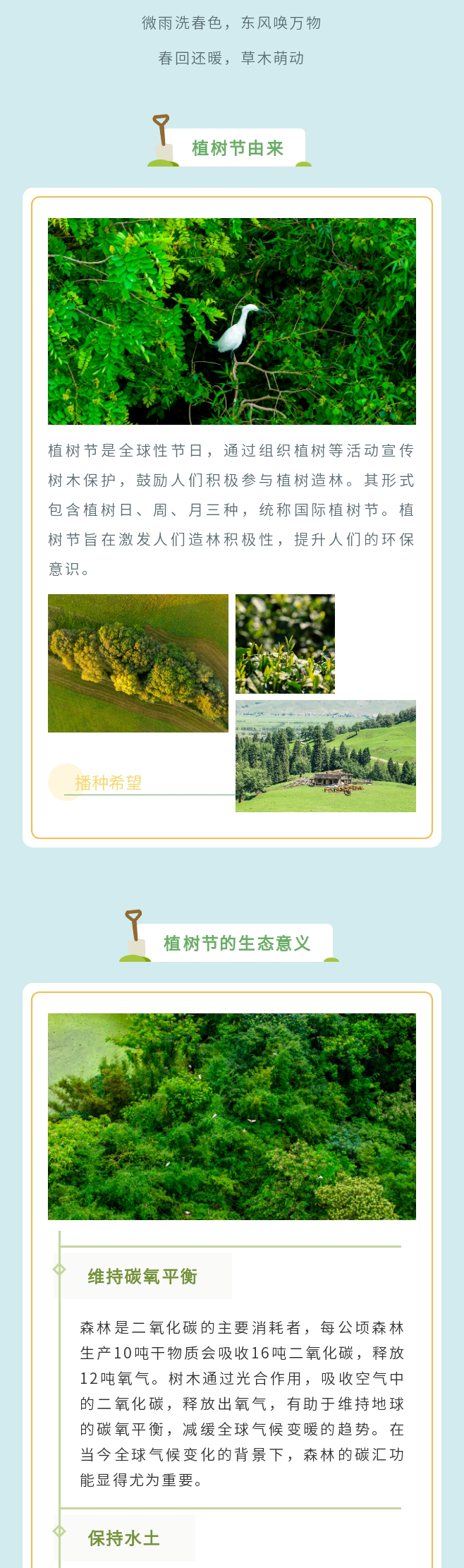 135editor_03121547_67d13c09f0f2420250312154721_02.png